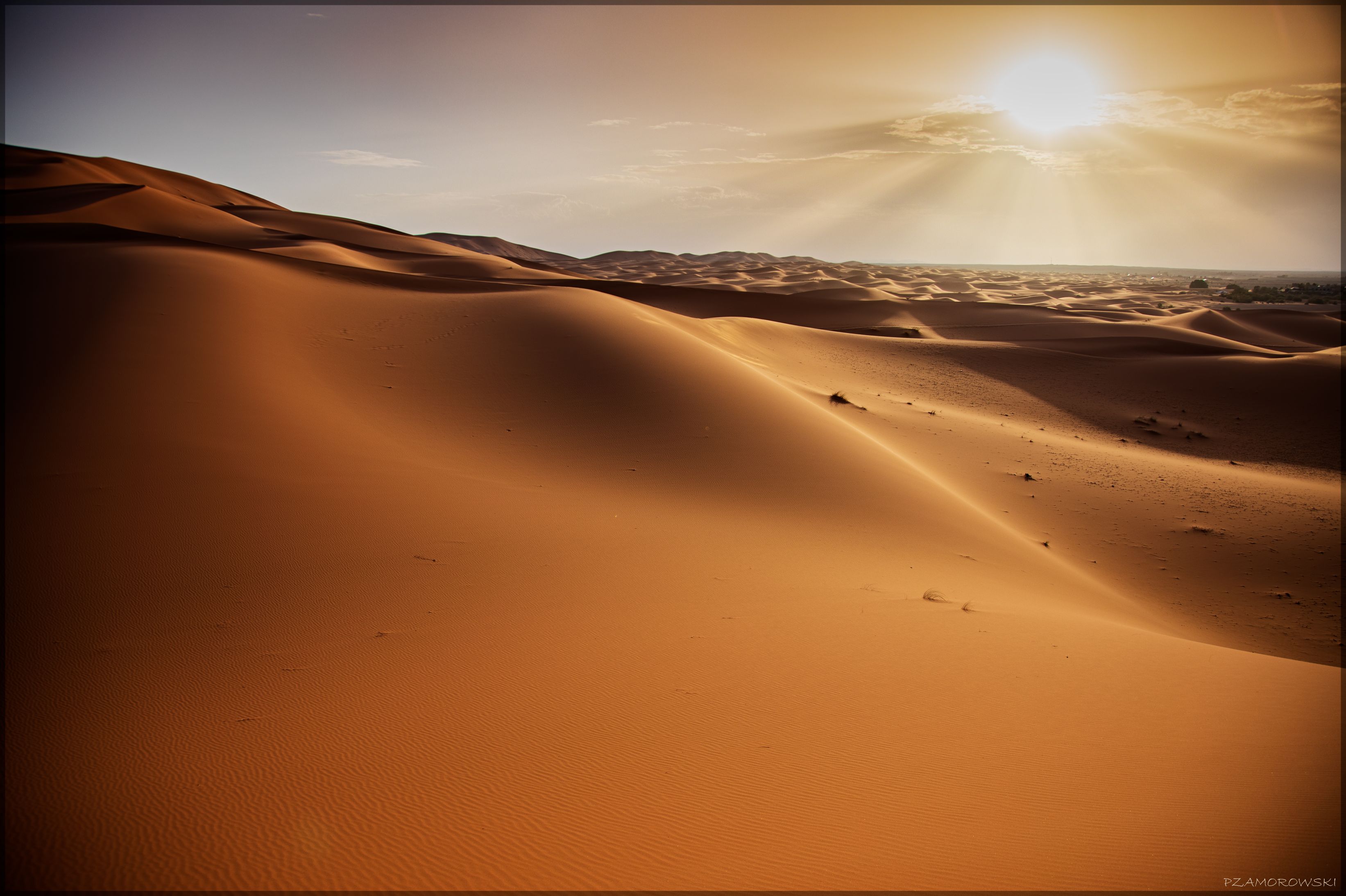 Sahara Desert